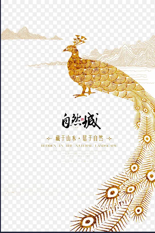 ��ȸ-������