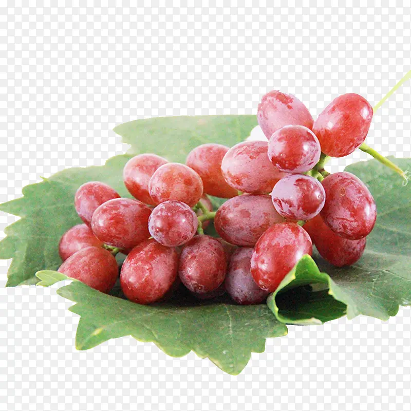 �����������-������