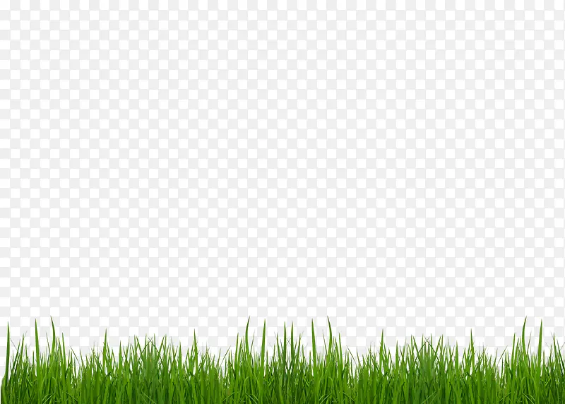 �ݴ�-������