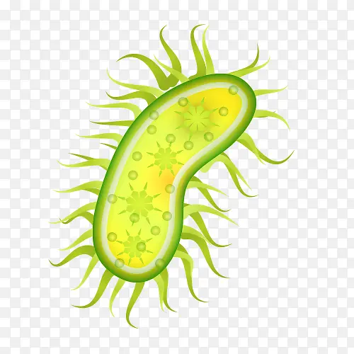 ��������ɫ����-������