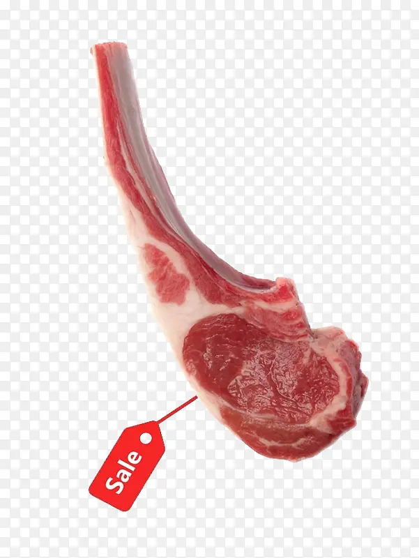 ʵ�����Ŵ�����ǩ-������