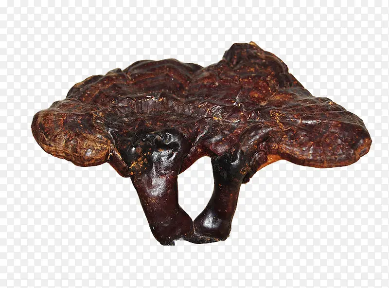 ��֥����ҩ������ز�-������