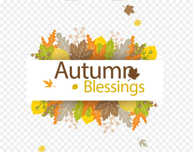 ������Ҷף����Ƭʸ��-������