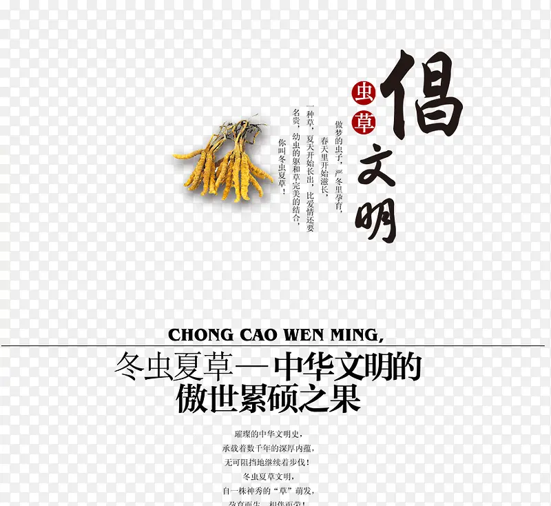 �����Ĳ�-������