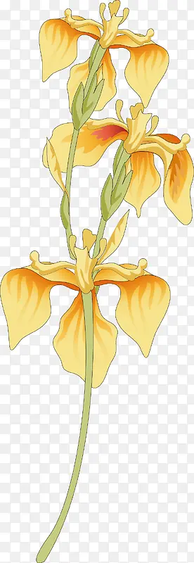 �Գƻ���-������