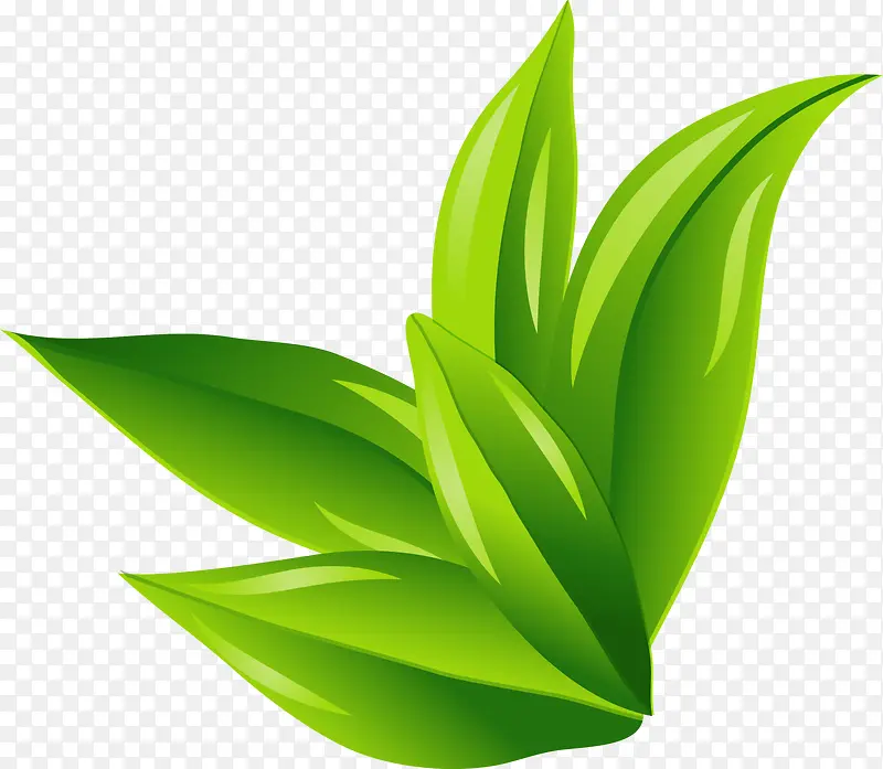 ��ɫ��ͨС��-������