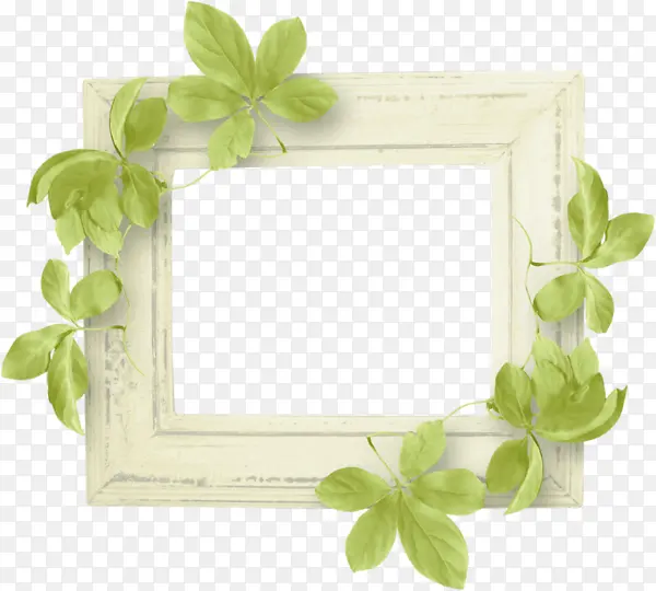 С����Ҷ����Ҷ�߿�-������