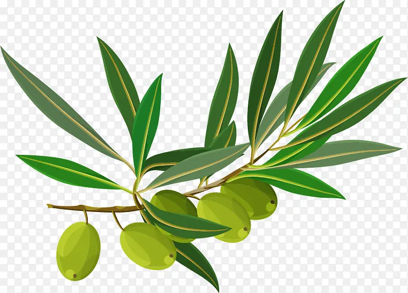 ����PNGʸ���ز�-������