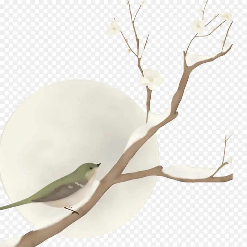 �й����Լ������ľ��֦-������