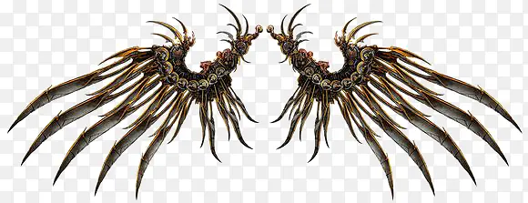 �����ſ��ĳ������-������