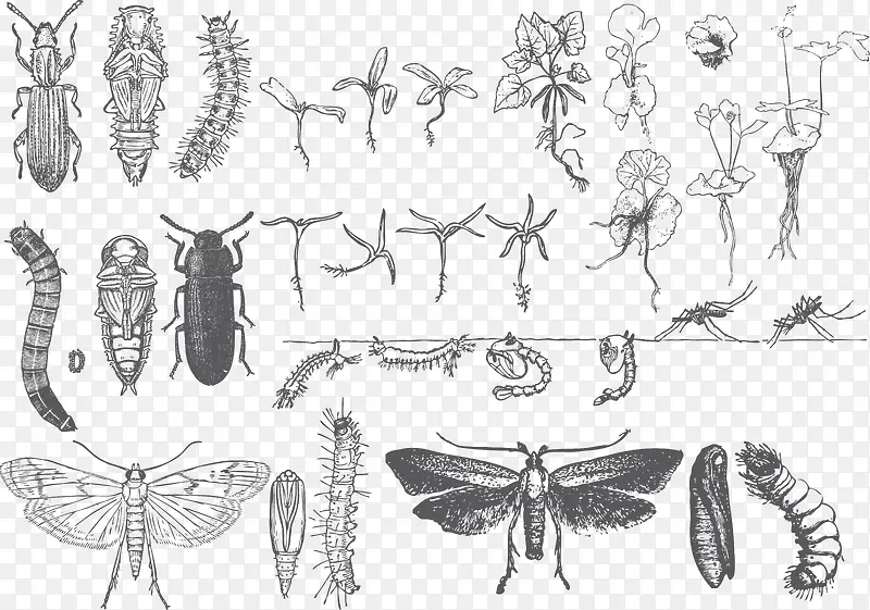 ʸ������-������