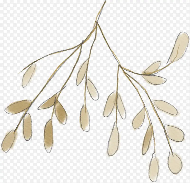 �ֻ���֦-������