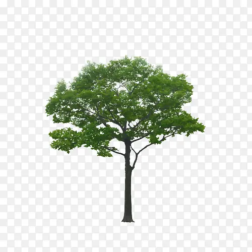 С��÷��-������