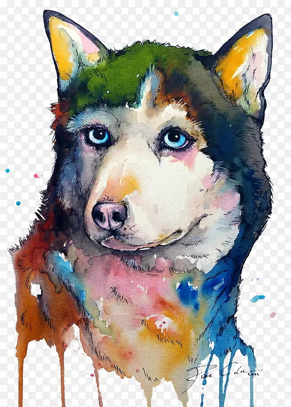 ��ʿ��-������