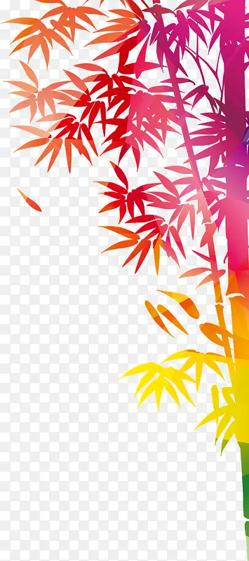 ��ɫ������-������