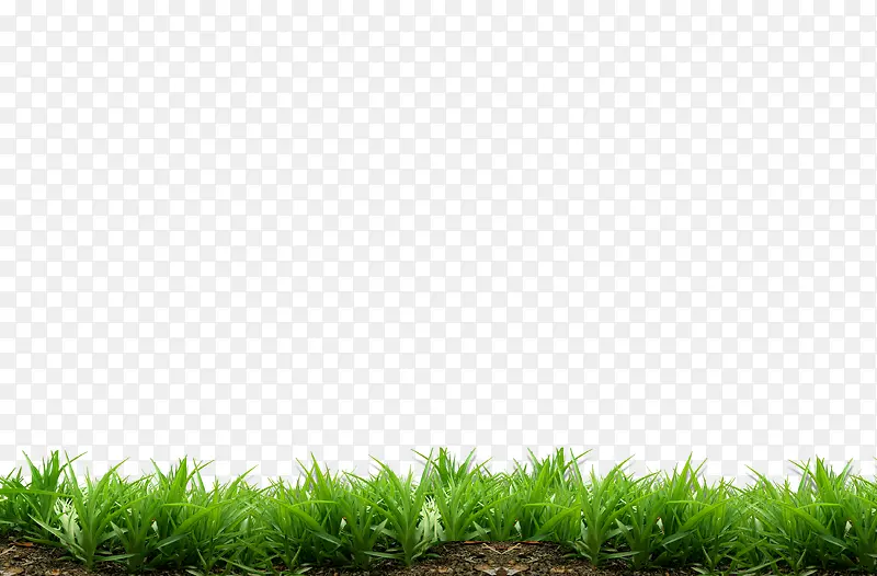 �ݵ�-������