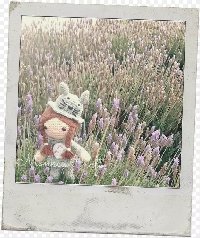 ��޹�²��϶��������������-������-������