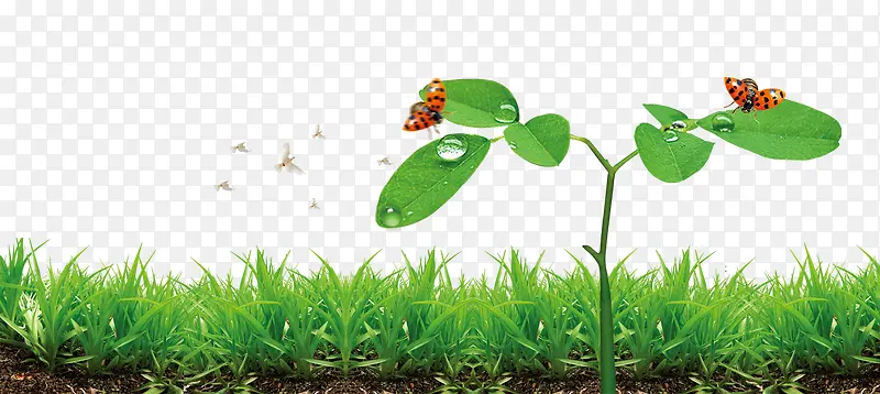 �̻�С��-������