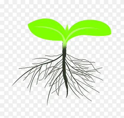 С��-������