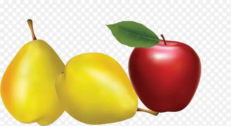 ƻ����ˮ������ʸ���ز�-������