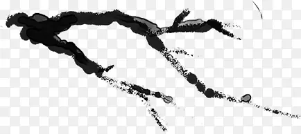 ˮī����֦�ķ��ı�-������