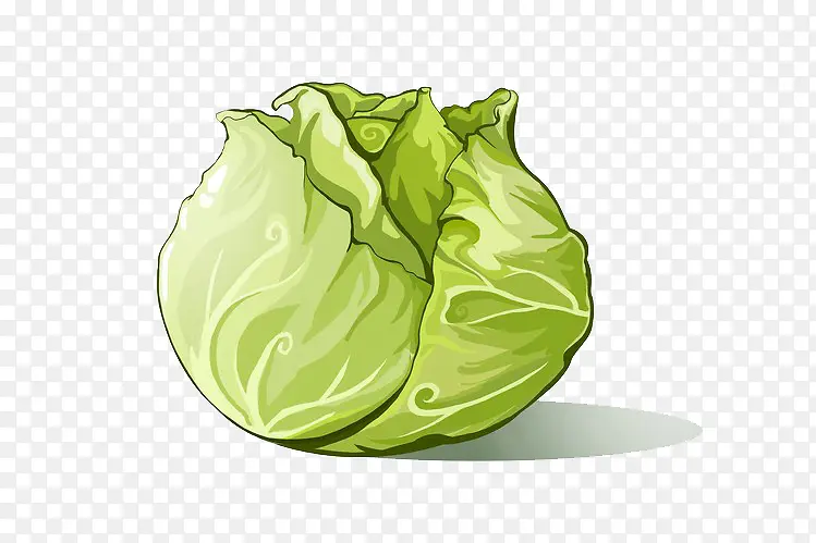 �����廭-������