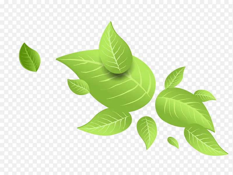 �ֻ洺����ҶƮ����ɫ������ҶС-������