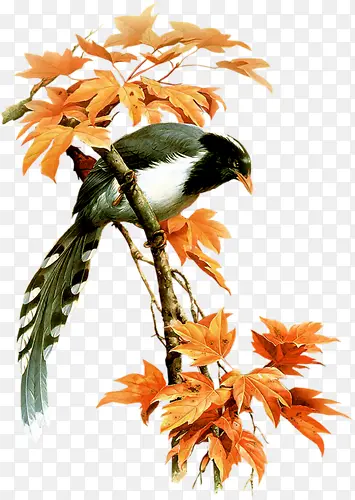 ʸ�������زĻ���ͼ��-������