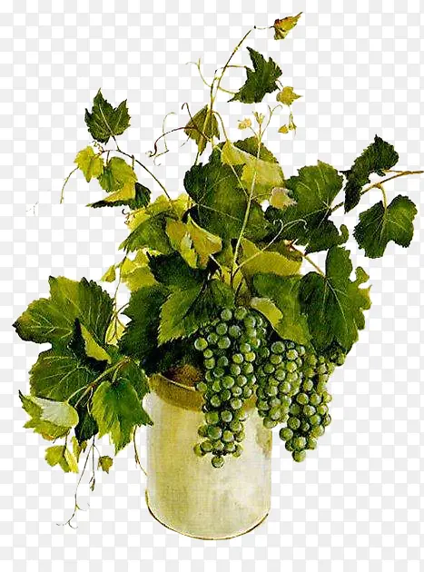 �ֻ滨���زĻ��ܱ����ز�-������