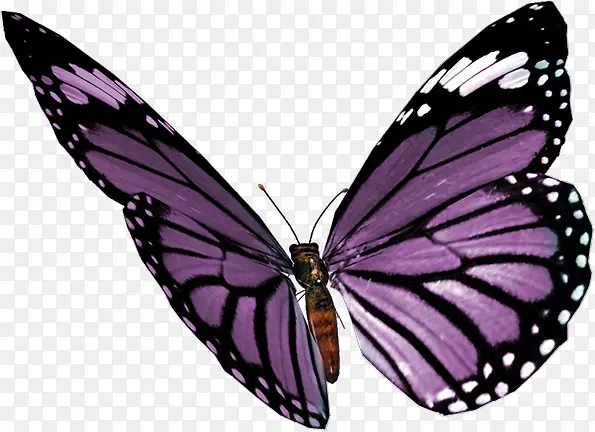 һֻ����-������