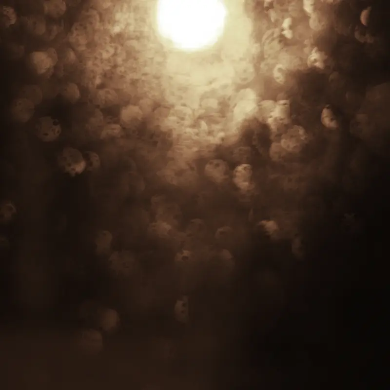 ���ɹ�߱���-������