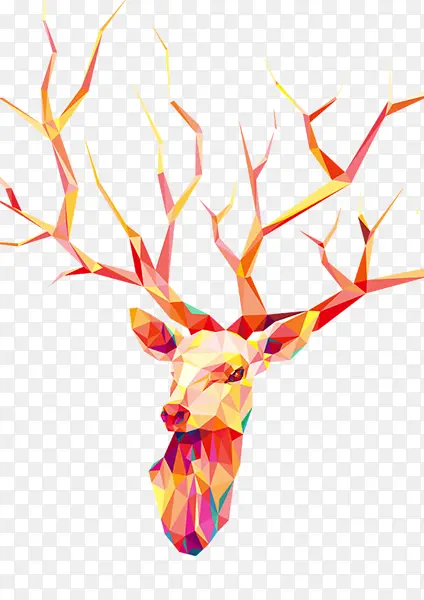 ��ɫ¹-������