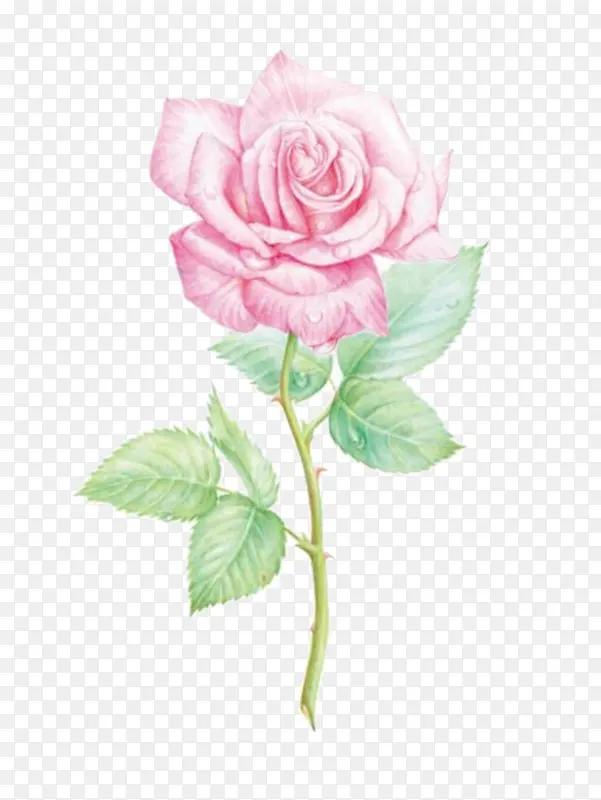 Ψ���ֻ��ʻ�-������