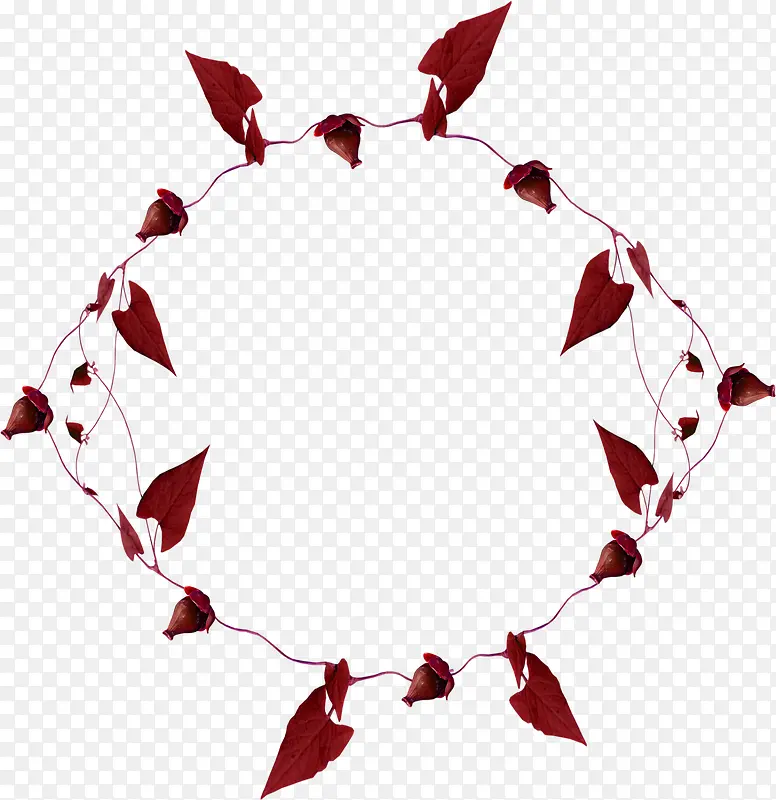 ���η�Ҷ-������