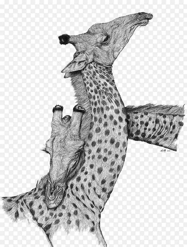 �ڰײ廭ĸ�ӳ���¹-������