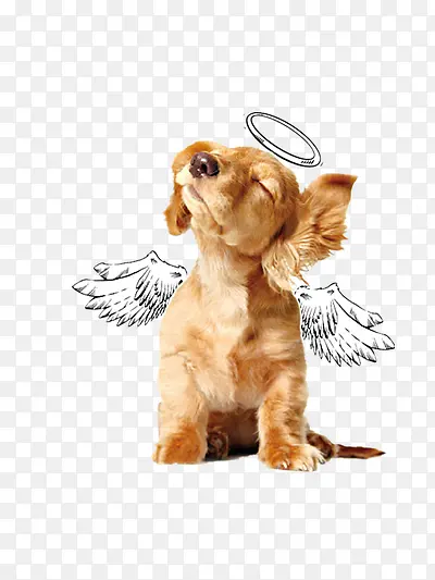 ��ʹ��-������