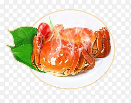 ��Ʒʵ���������ڵĴ�բз��Ҷ��-������