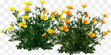 ������Ӱ��׳�ɳ��Ļ���-������