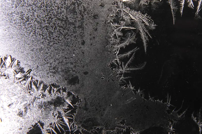 ���豳��-������