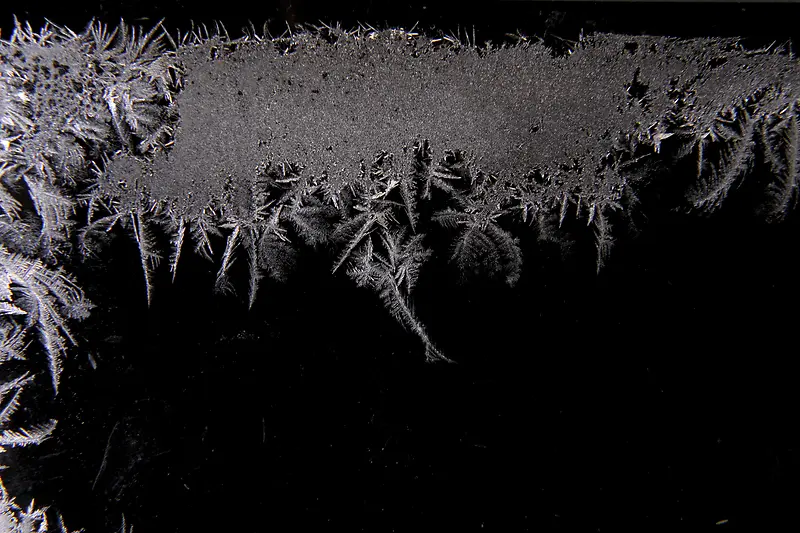 �����ͺ�ɫ����-������