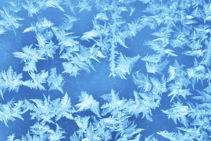 ��ɫ�����ϵı���-������