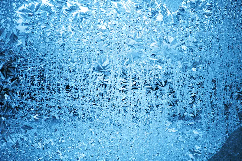 �����ϵı���-������