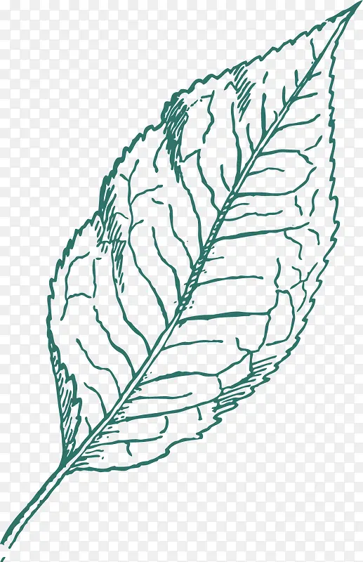 ɣҶ�ֻ�-������