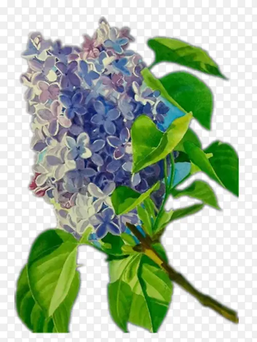 Ư���ķ����ӻ�-������