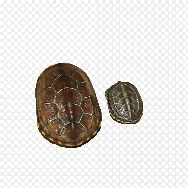 ���²ݹ�-������