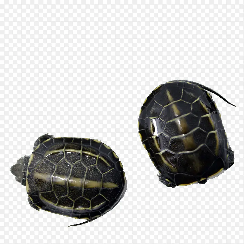 �����ݹ�-������