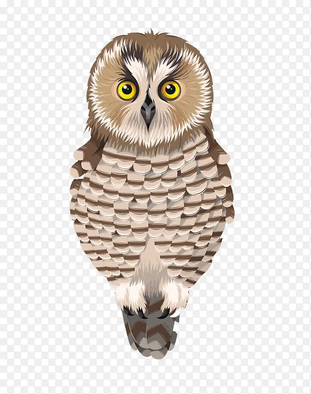 ˮ��èͷӥ-������