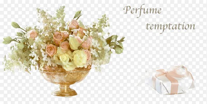 ���Ͳ;�-������