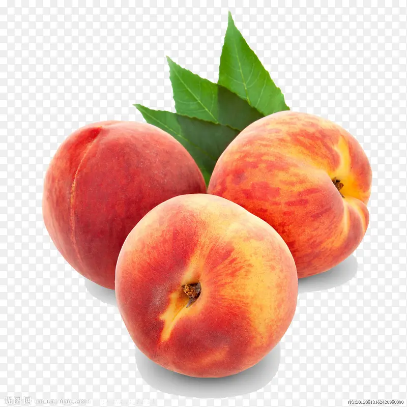 ˮ���ز�-������