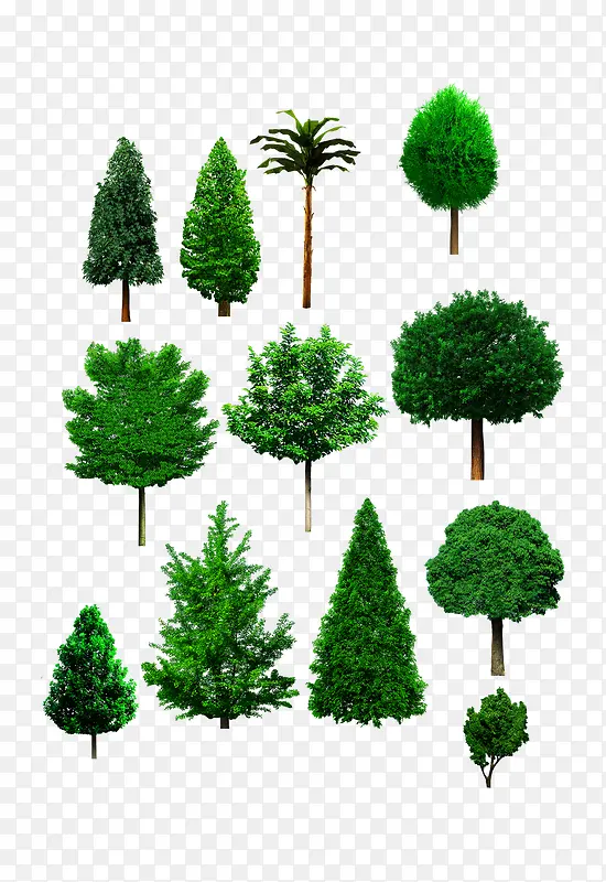 ԰�־����ز�-������